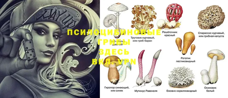 продажа наркотиков  это телеграм  Галлюциногенные грибы Magic Shrooms  Москва 